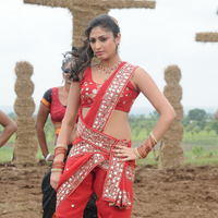 Haripriya Exclusive Gallery From Pilla Zamindar Movie | Picture 101844